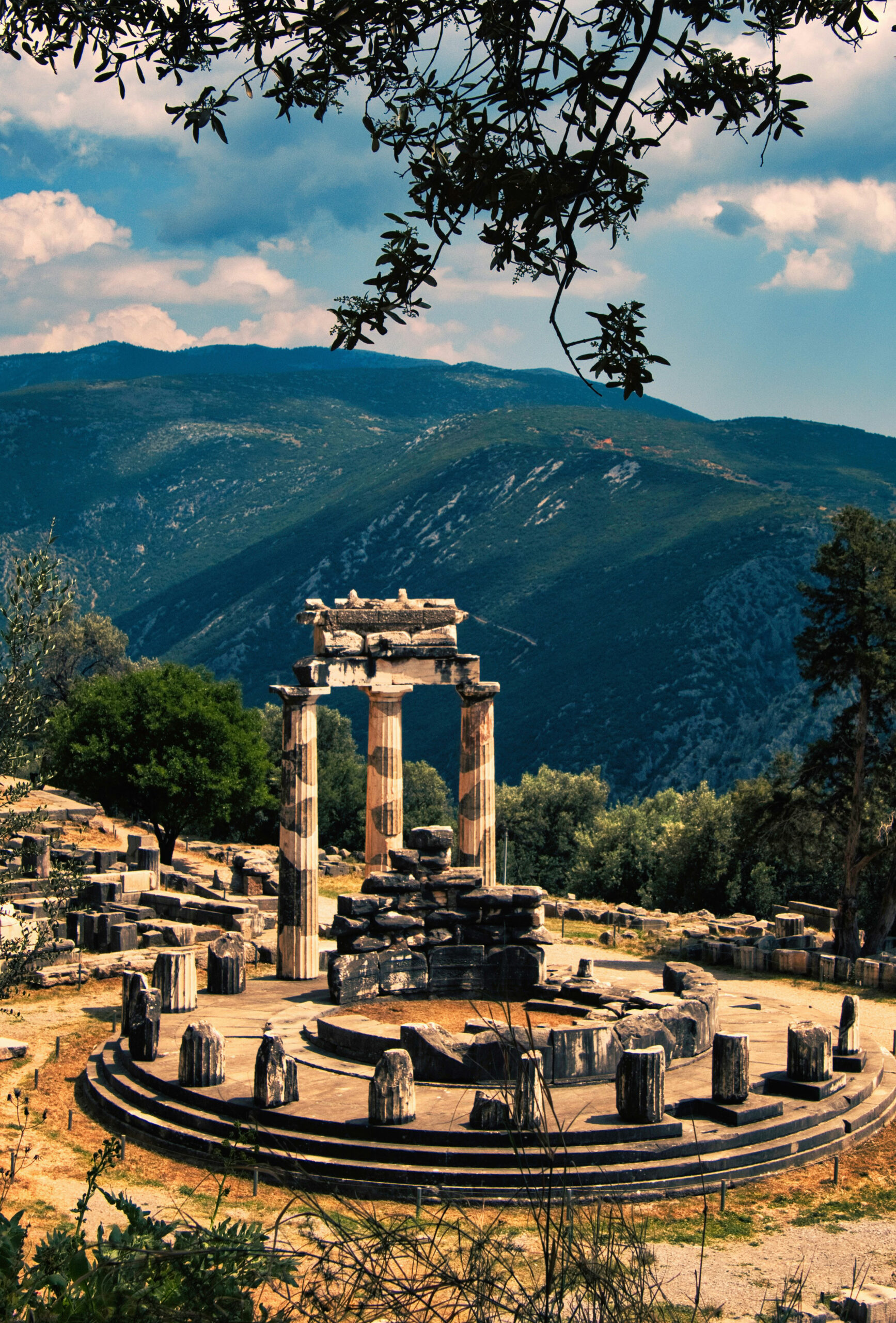 Delphi Long